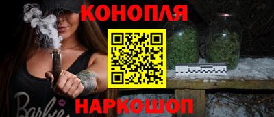 гашик Бийск