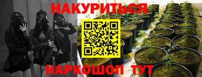 ГАЛЛЮЦИНОГЕННЫЕ ГРИБЫ Балашиха