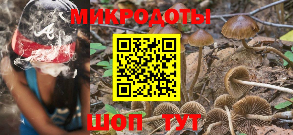 Псилоцибиновые грибы GOLDEN TEACHER Дербент